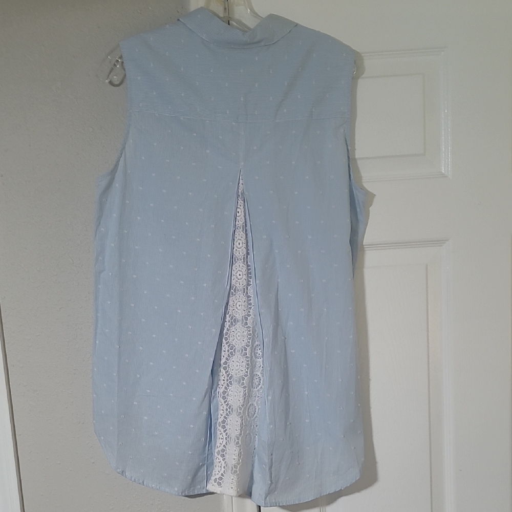 Peck & Peck Light Blue Striped Blouse